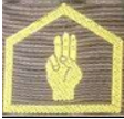 Brownie Golden hand
