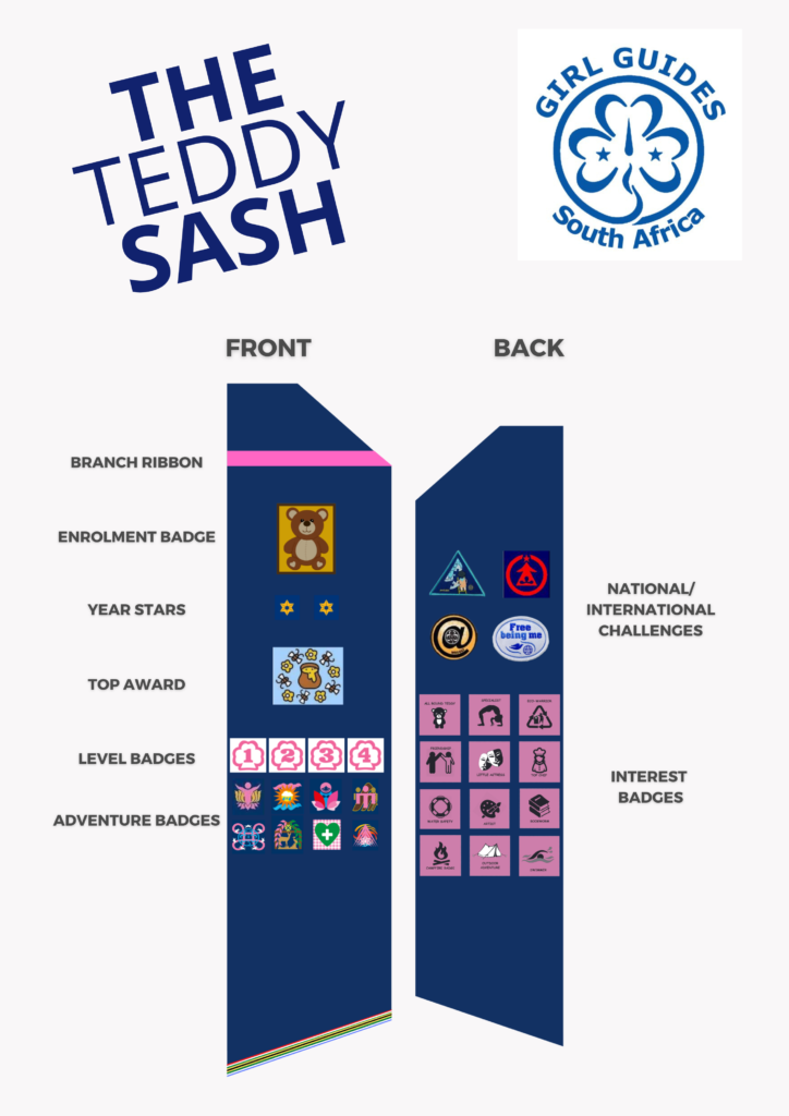 THE TEDDY SASH V2 THE TEDDY SASH V2